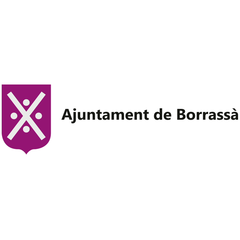 borrassa.logo