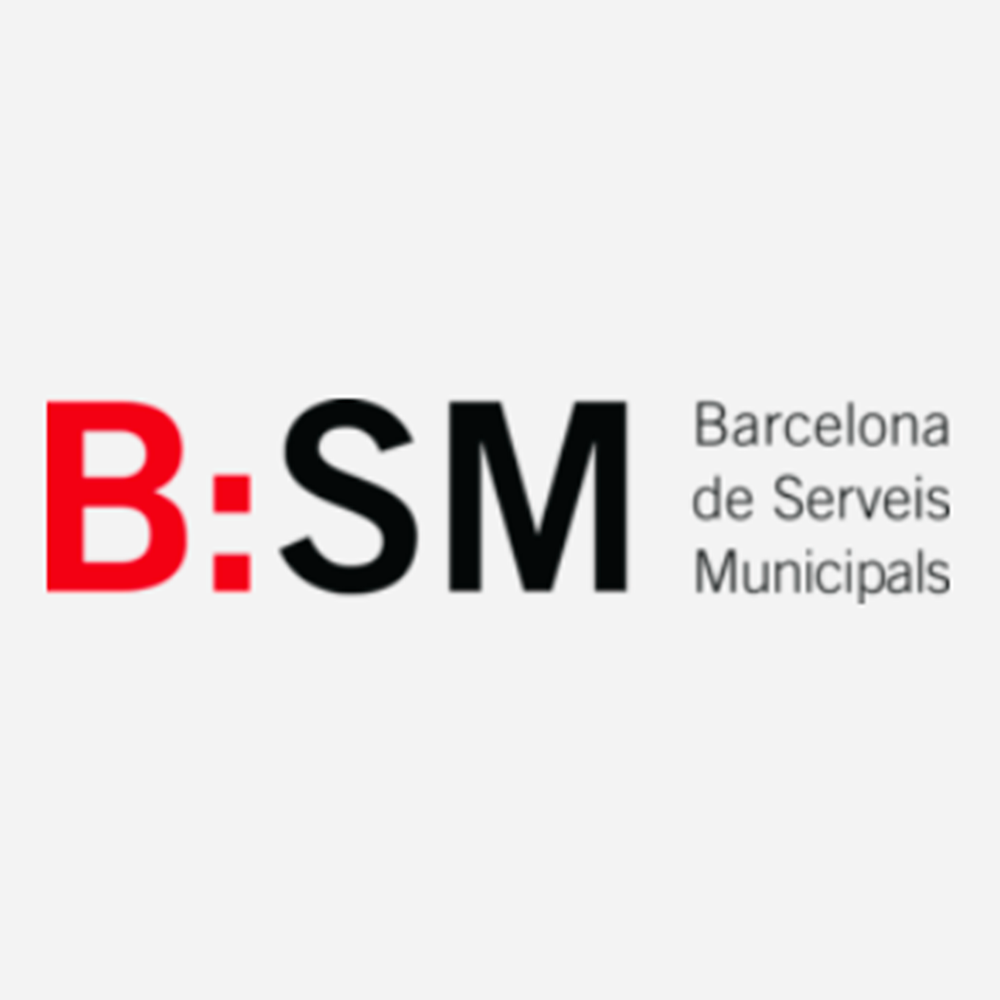 bsm.logo