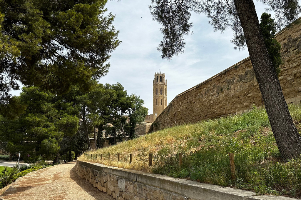 Mejora ambiental y paisajística de la colina de la Seu Vella