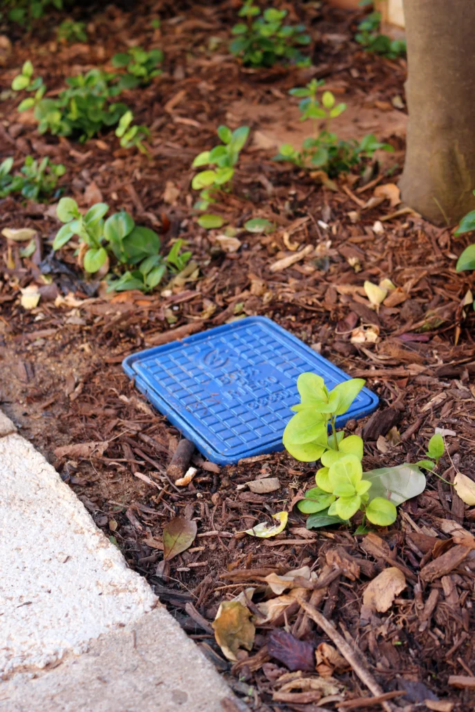 Instalación de una nueva Red de Riego y zona verde en Sant Boi de Llobregat