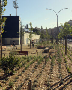 Abrimos la Avenida Doctor Fleming